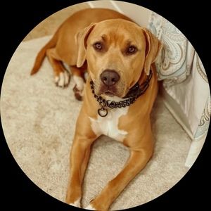 Meet your Posher, Melanie